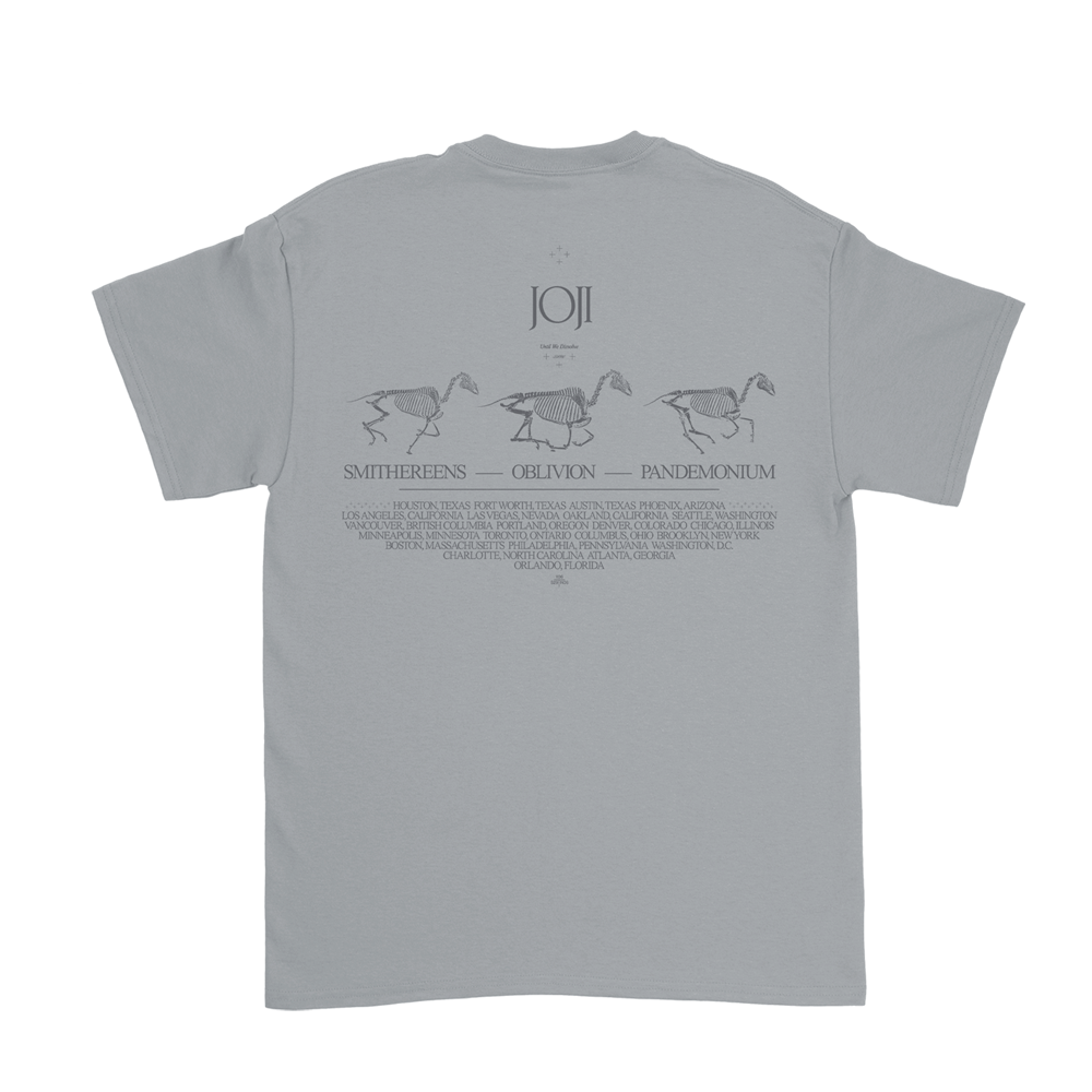 Gray t-shirt with skeletal goose designs and text on the back.