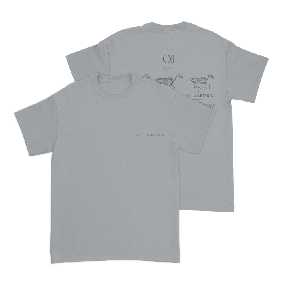 PANDEMONIUM Grey T-Shirt