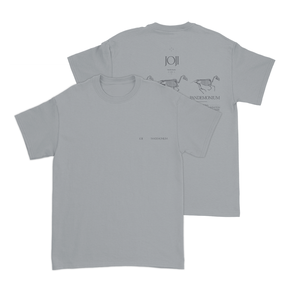 Gray t-shirt with horse designs printed on the back.