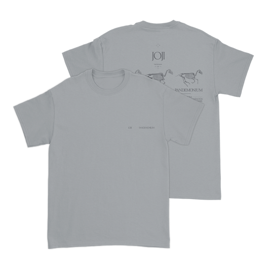 PANDEMONIUM Grey T-Shirt