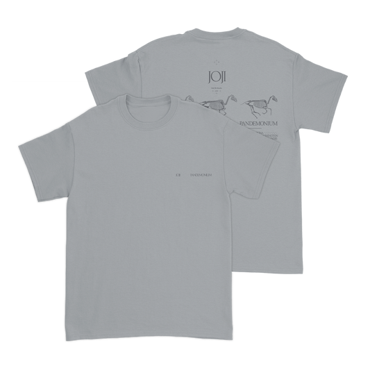 Gray t-shirt with horse designs printed on the back.